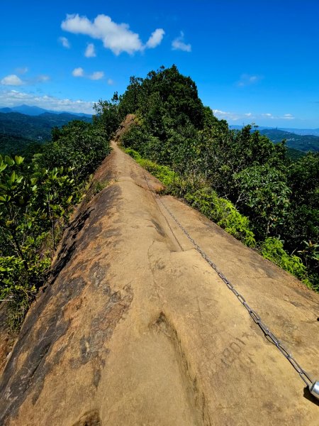 (二格山系)皇帝殿稜線-2025微笑山線大縱走尋寶集章任務2863488