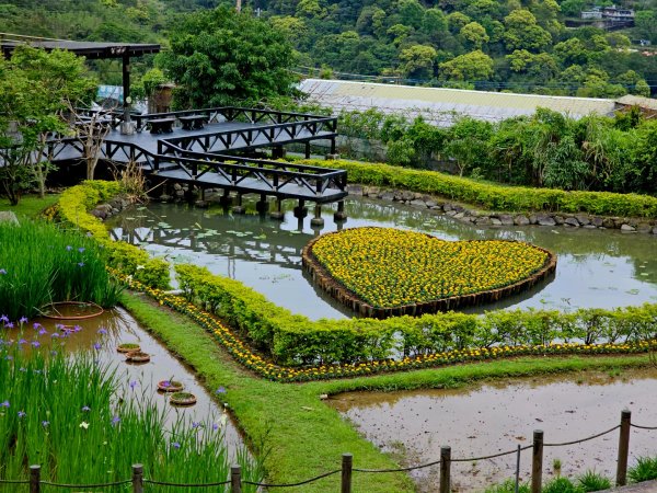 2025年臺北大縱走第四段：風櫃口至中華科大2755990