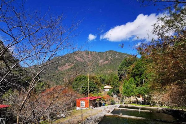 東昌養鱒場