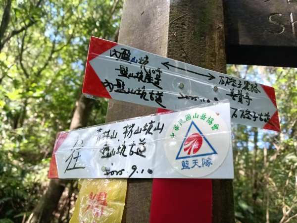 雙溪區內盤山坑古道+石硿子越嶺古道+盤山坑古道+過火坪古道O型2914387