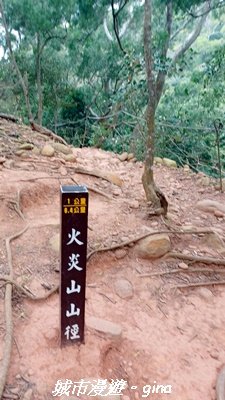 【苗栗三義】台灣百大必訪步道。 火炎山、南鞍古道O繞x火炎山下花海2954163