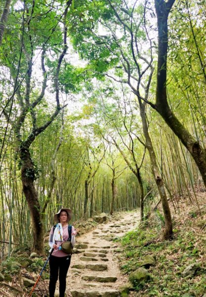 【中級山】台南第一高峰，關子嶺大凍山2741131