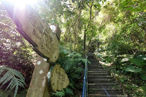 和美山｜新店碧潭步道2892096