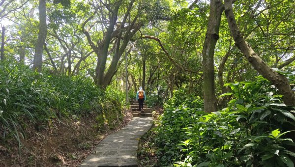 (姨婆趴趴走)第五十三集:台北內湖三山（白鷺鷥山、康樂山、明舉山）連走2774605
