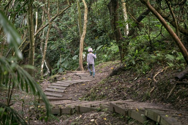 北港二坑-翠湖-內溝山-油桐嶺-老鷲尖山-老鷲尖南峰-學頭坡山 O型2232072