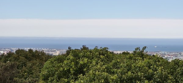 2026/01/25-五酒桶山、山鼻山步道2988105