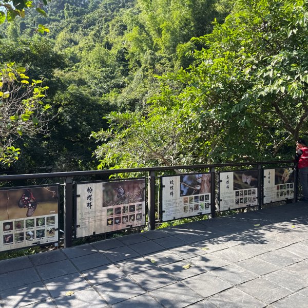 20251213 高雄-茂林生態公園瑪雅亭2969105