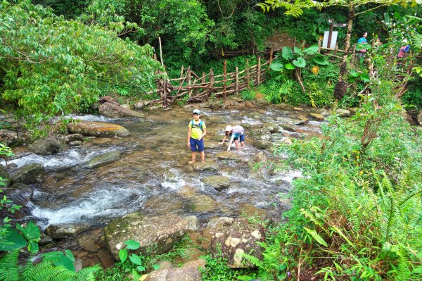 淡蘭古道中路之中坑、崩山坑古道O型685800