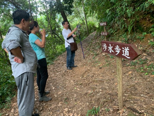 惠蓀林場渉水步道與山嵐小徑1043104