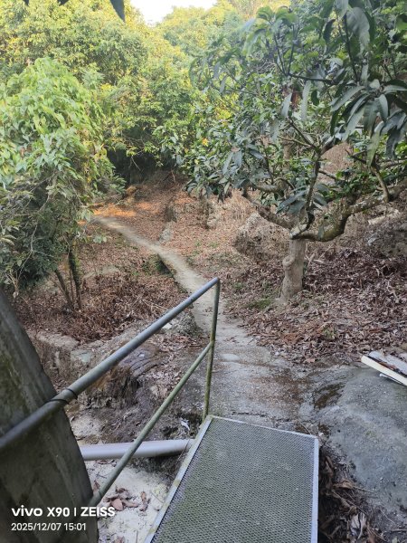 小崗山2025-12-072957838