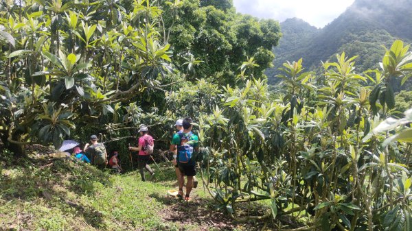 谷關黑白縱走2025年6月8日2808662