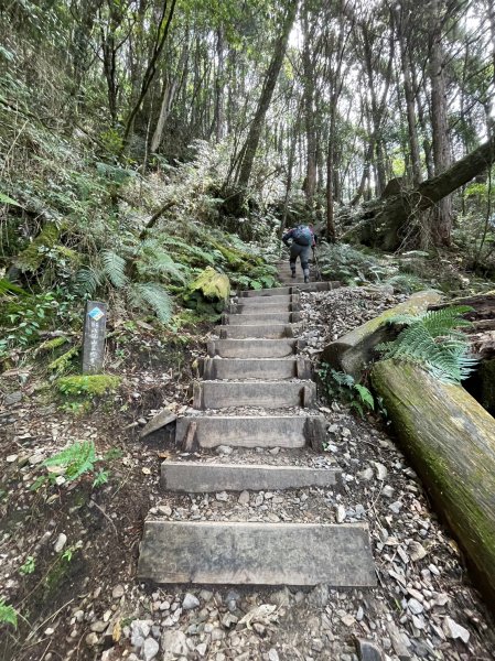 2022谷關七雄，慢旅臺中-八仙山 09251858354