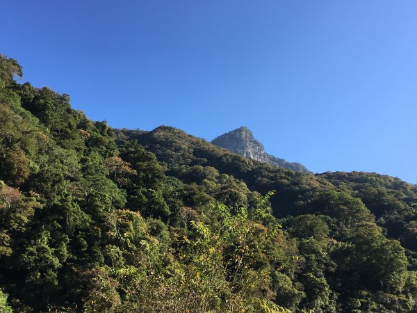 苗栗虎山1079098