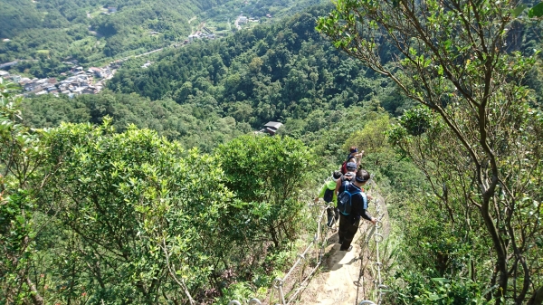 孝子山 ．慈母峰．普陀山．中央尖52637