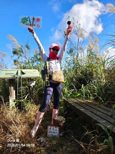 20260104源茂山.源茂山西峰.和尚髻山O走+親水觀魚步道2977703