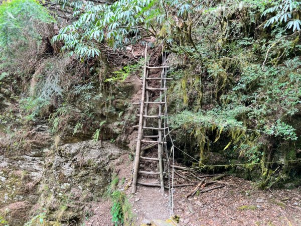 2023-04-18 畢祿山（百岳、單登）2119519