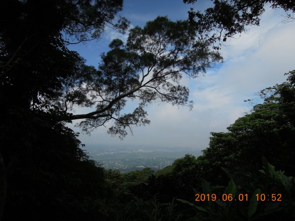 20190601_飛鳳山中坑山835932