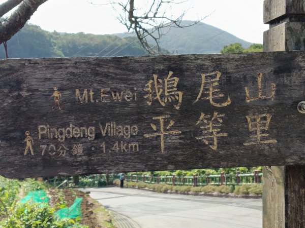 士林區礁坑橋+平溪步道+鵝尾山水田步道+大坪尾山+平菁步道O型2995877