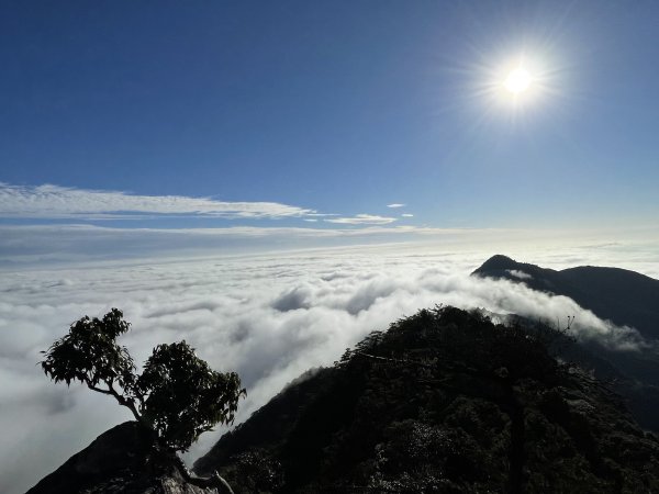 秋天的饗宴～鳶嘴山雲海＋稍來山楓葉1965655