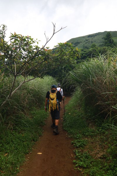 大屯山系十連峰2554051