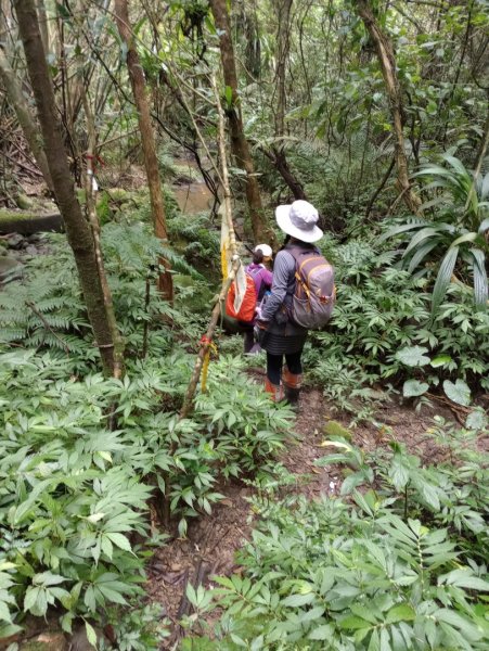 雷公埤山-鱷魚島觀景-小格頭獅頭山2001525