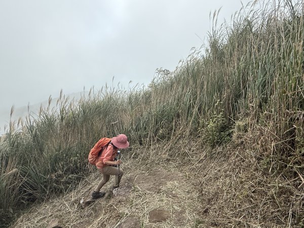 二子坪步道 經遊憩區 上面天山 202511082935049