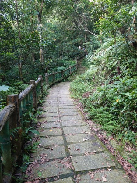 桃園石門山登山步道2208352