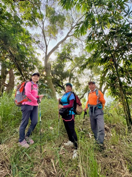 古坑地母廟走荷苞山(登山步道)訪小溪子山2946718