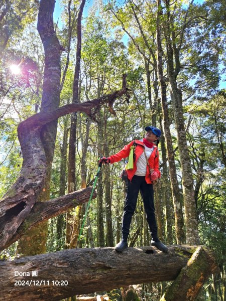 【谷關七雄】屋我尾山(H1796m)＆屋我尾山北峰(H1784m)熱身行2670235