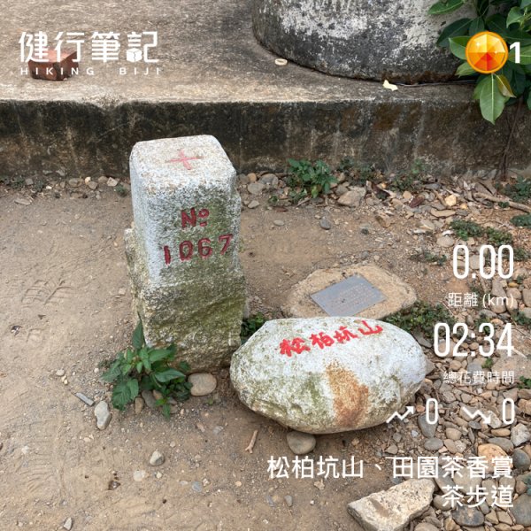 松柏坑山1353490