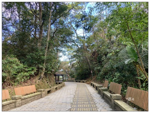 頭寮山、內湳溝山、牛角湳西南峰O型連走2738941