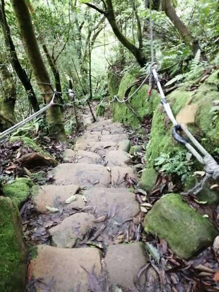 攻下土城小百岳----天上山912993