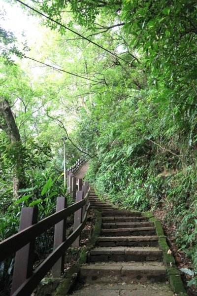 小百岳NO.13南港山，南港山北峰，九五峯2285601