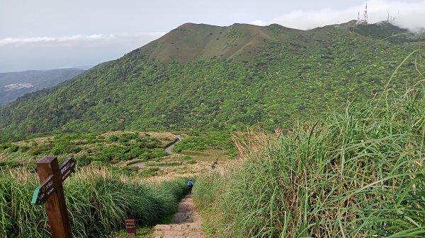 【臺北大縱走 2】【台北-臺灣百大必訪步道】視野遼闊的大屯山主峰，風景秀麗的頂湖海芋步道、水車寮步道1340330