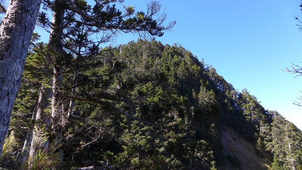 大好天氣的奇萊東稜488943