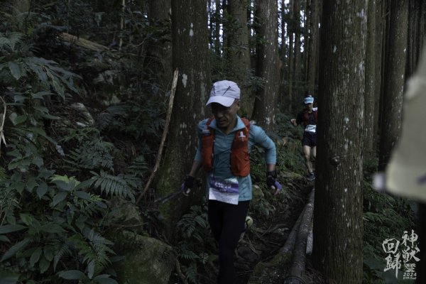 20241228之向天湖山 加里山 哈堪尼山 虎山西南峰 南大龜山 三角湖山2688719