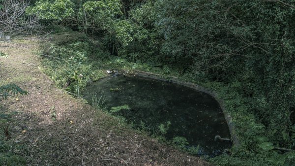 枋山坑+中坑古道連走1475158