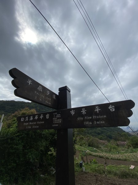 如墨暈染的春日邂逅｜中山樓墨染櫻 × 北投步道探花記2853874