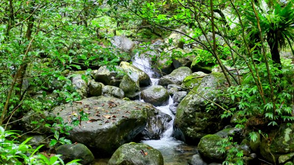 石笋古道,焿子寮古道,松子嶺古道2798359