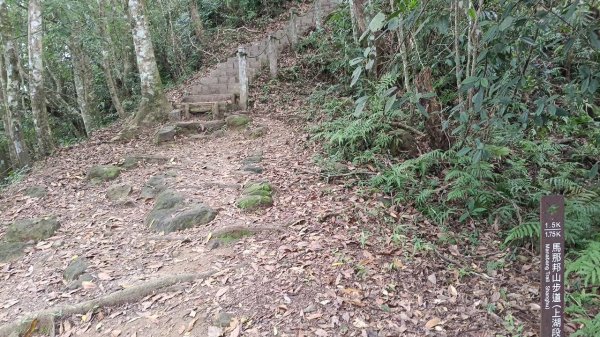 20251004 馬那邦山 - 珠湖 登山口2904844