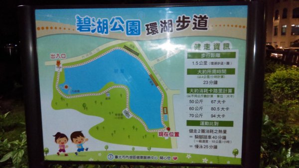 【台灣步道日】碧湖公園環湖步道的夜景987762