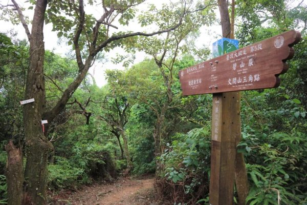 〔內湖〕文間山，劍南蝶園，劍潭古寺，婆婆橋 鄭成功廟步道2249285