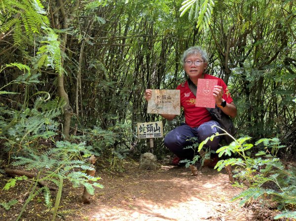 [山頂鳥40周年會員大縱走-03/15] 2024_0629 蛇頭山步道2539369