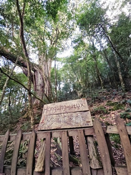 鎮西堡巨木群步道(B區)-(新竹)臺灣百大必訪步道3007830