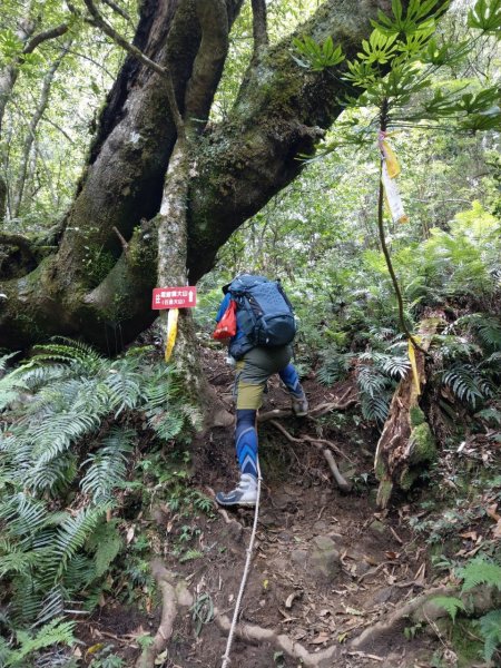 霞喀羅大山之跡600796