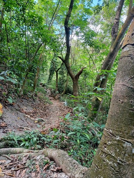 【屏東瑪家】汗流浹背太自虐。 小百岳集起來。 編號76小百岳-笠頂山步道1702212