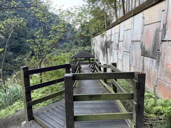 [淡蘭古道] 2026_0315 南路第二段_外按古道3016377