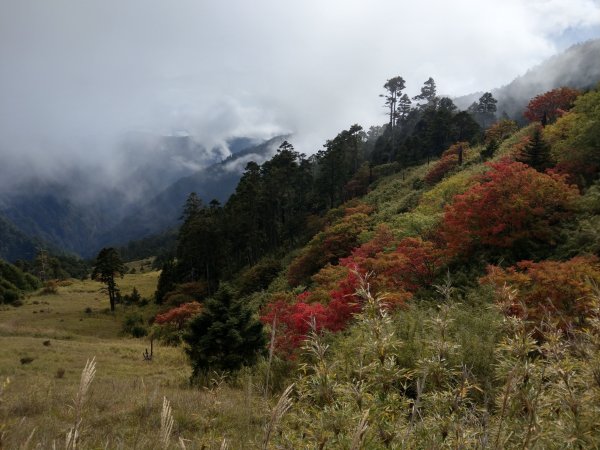 雪山主東峰435345