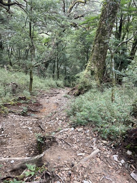 百岳-塔關山2695787