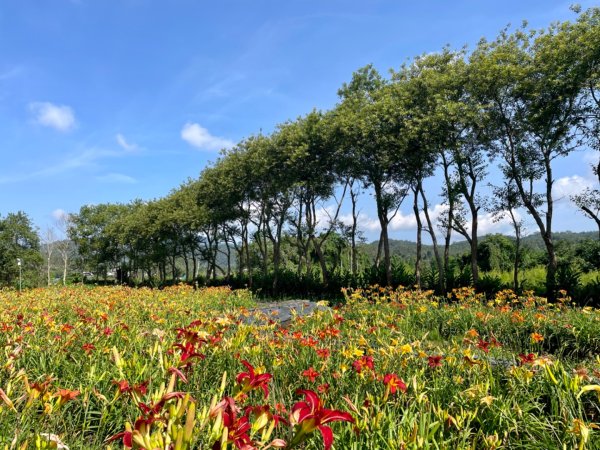 頭社活盆地2691014